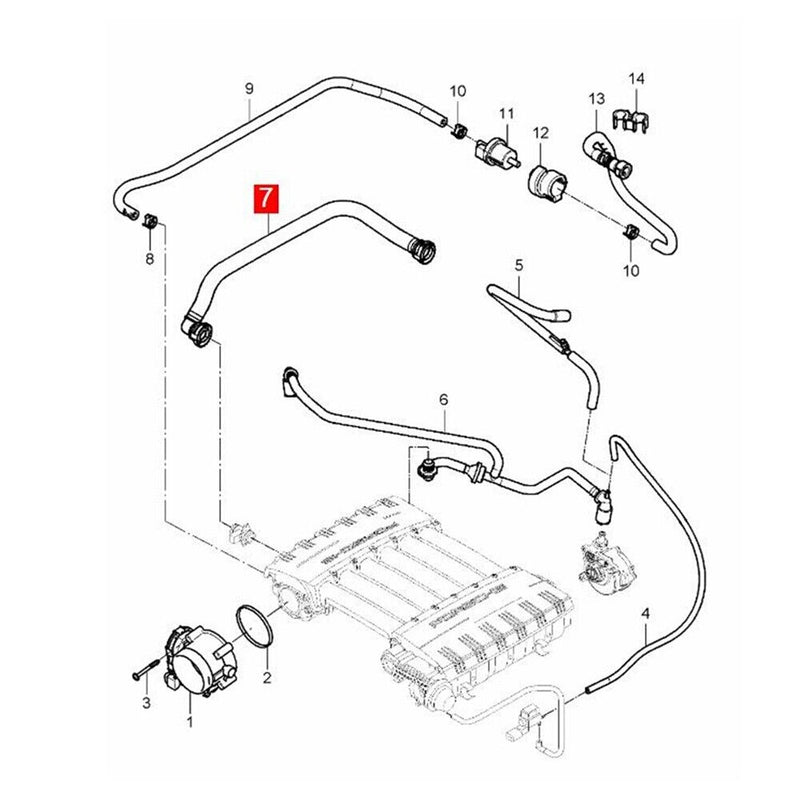 Parte di linea del sistema di emissioni evaporative del motore per Porsche Ca...